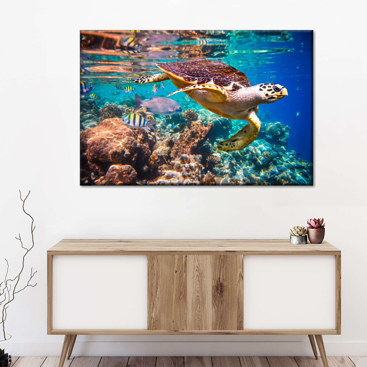 Vivid Sea Life Wall Art