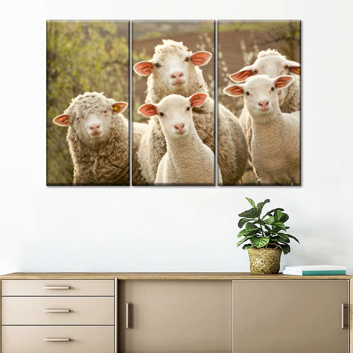 Stunned Sheep Wall Art