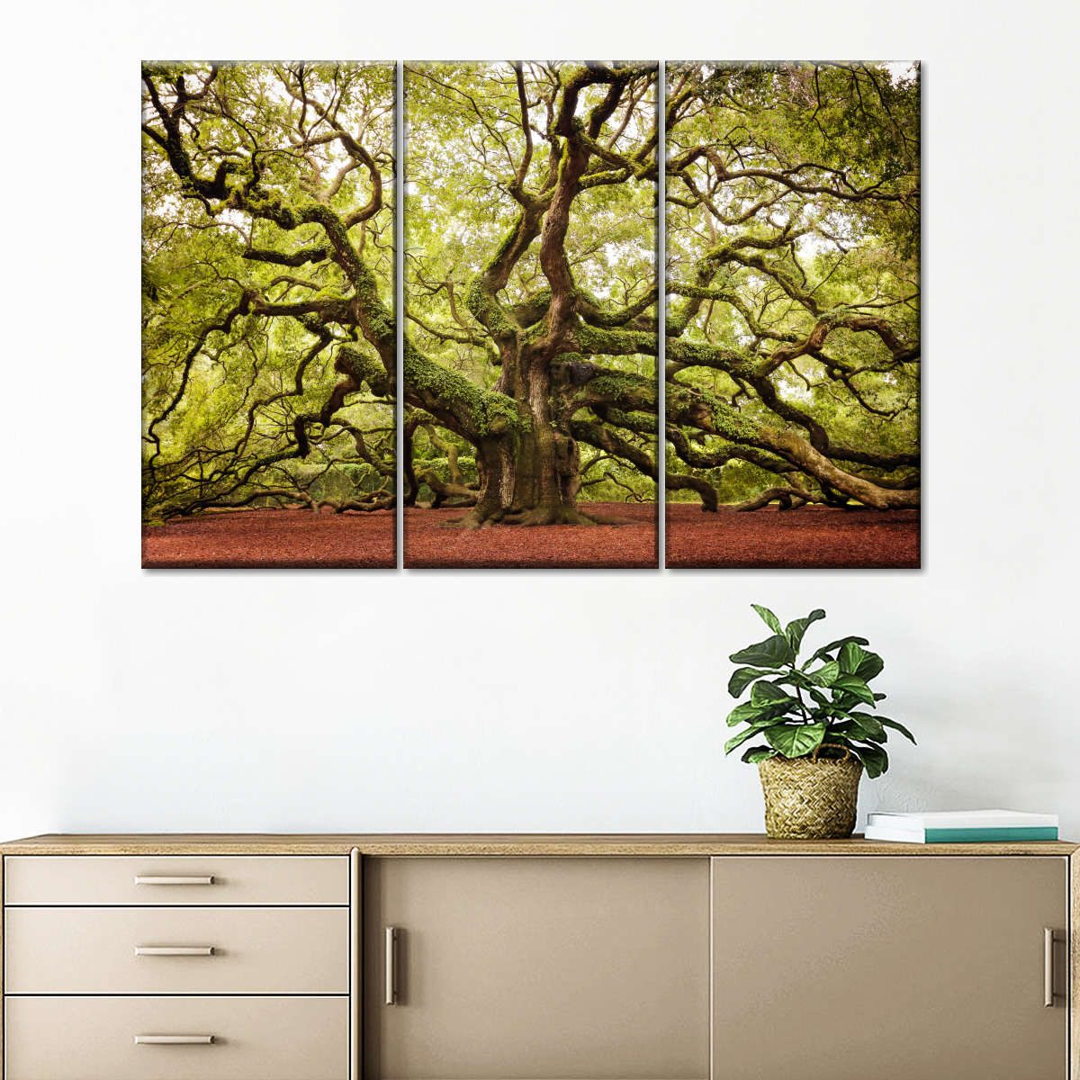 Charleston Angel Oak Tree Wall Art