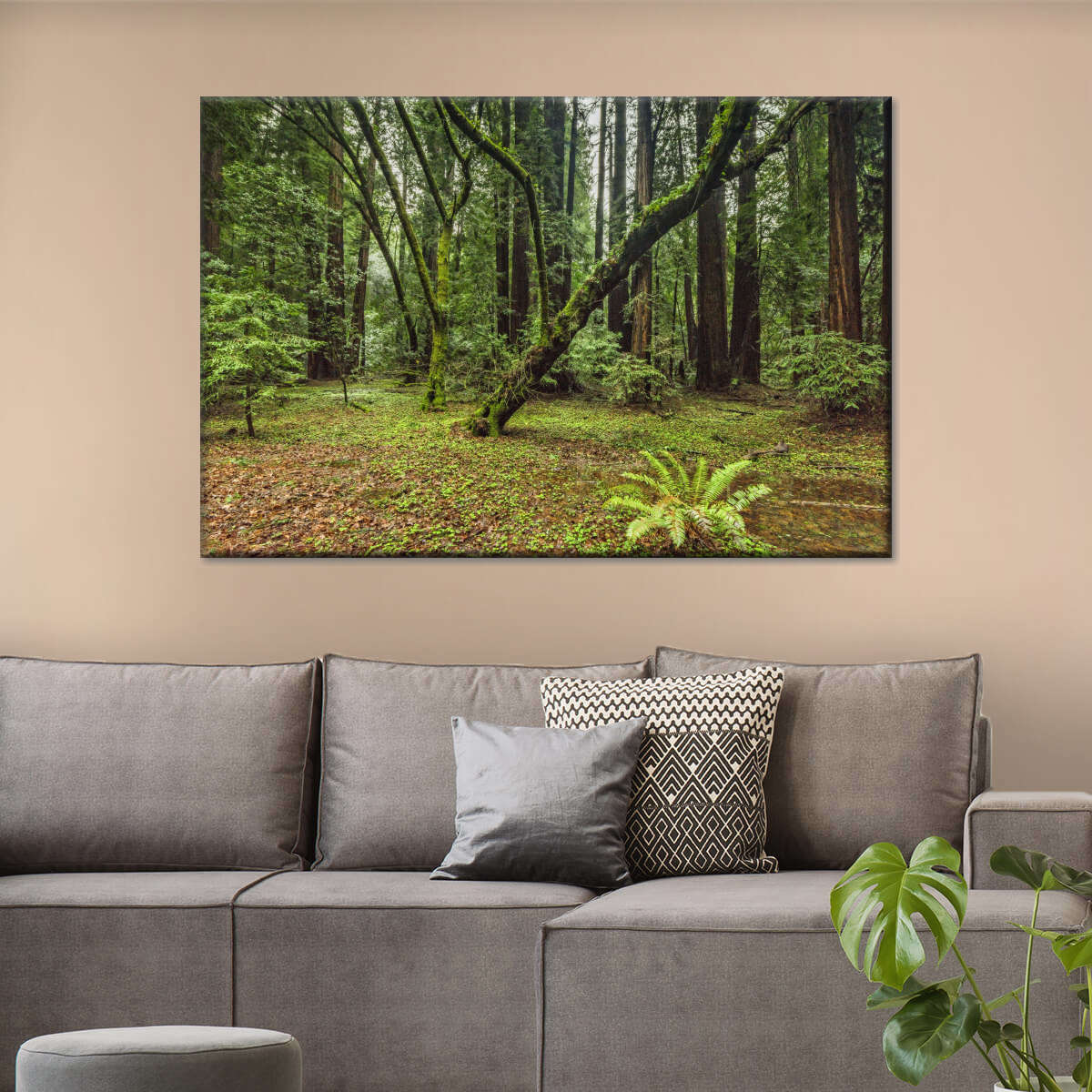 Muir Woods Forest Wall Art