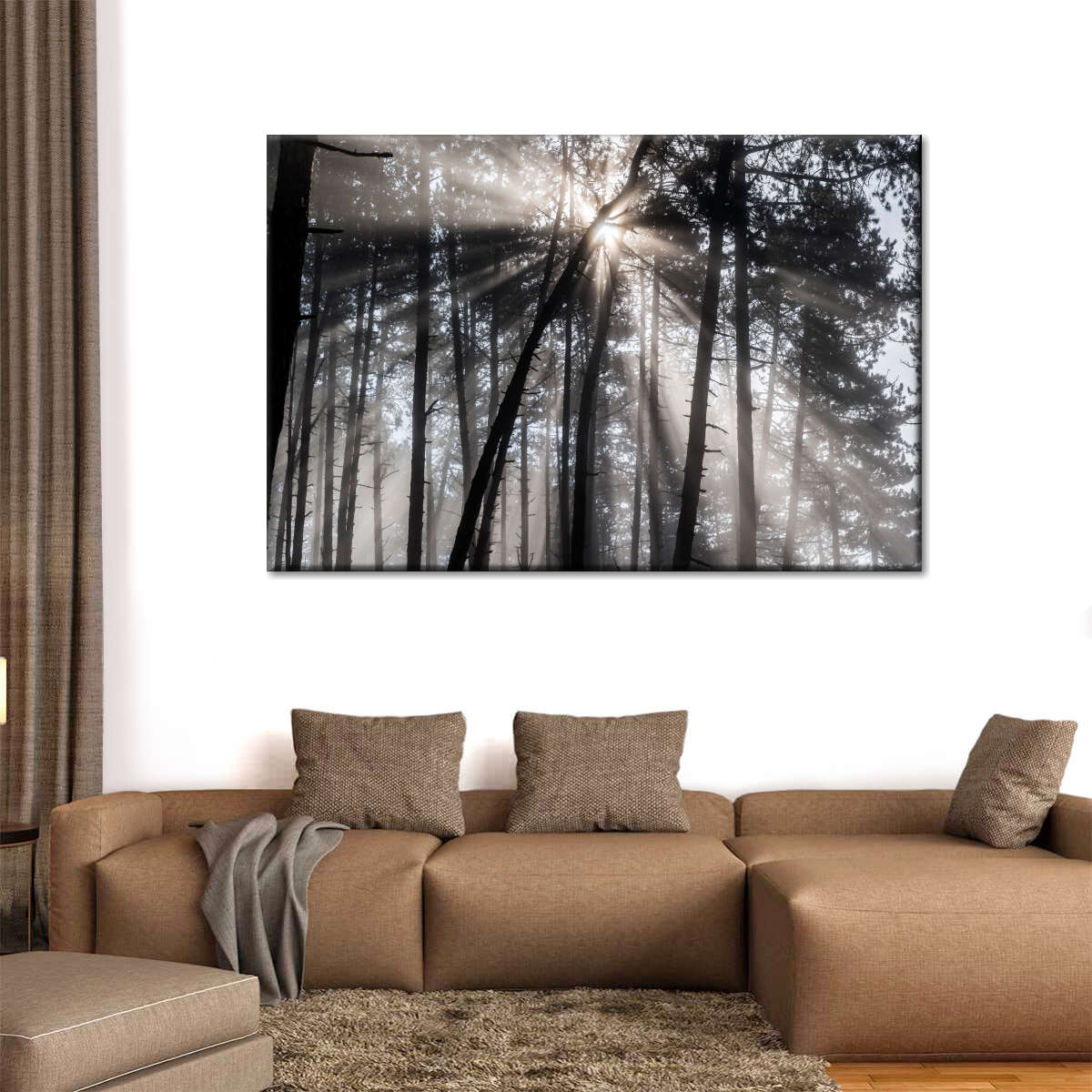 Forest Sun Beam Wall Art