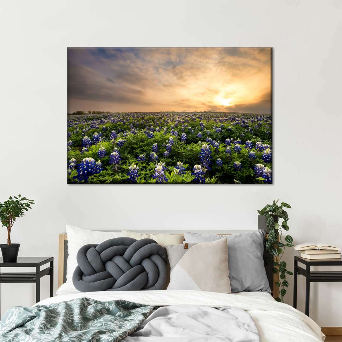 Bluebonnets At Sunset Wall Art