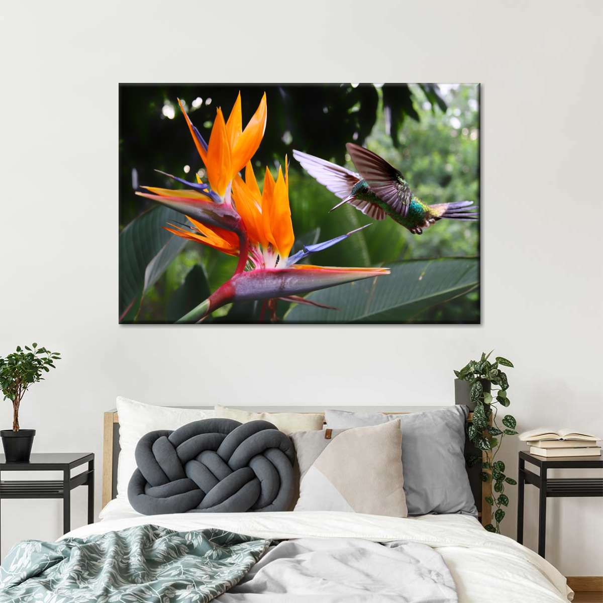 Flying Hummingbird Wall Art