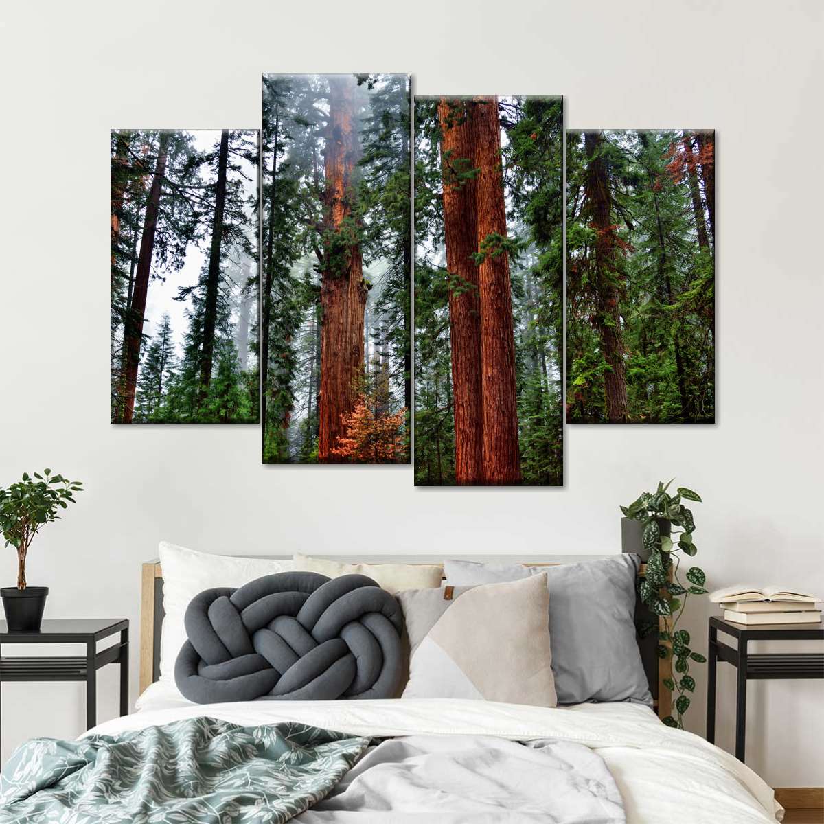 Vibrant Redwood Wall Art