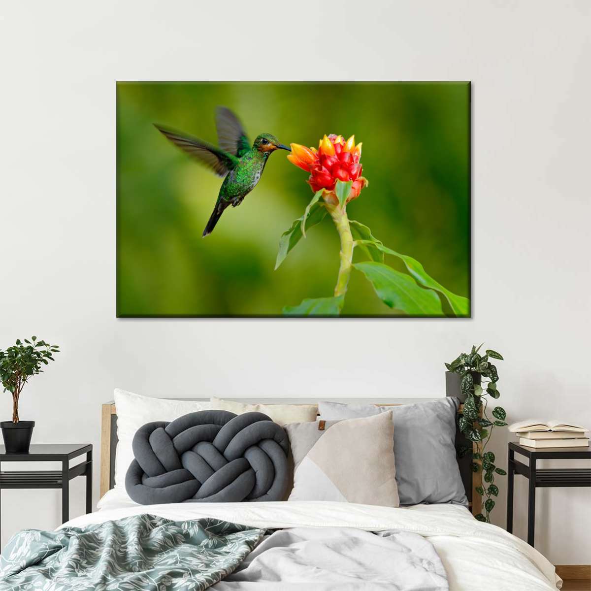 Flower And Green Hummingbird Wall Art