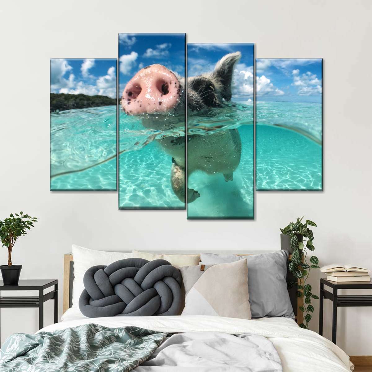 Swimming Pig Wall Art