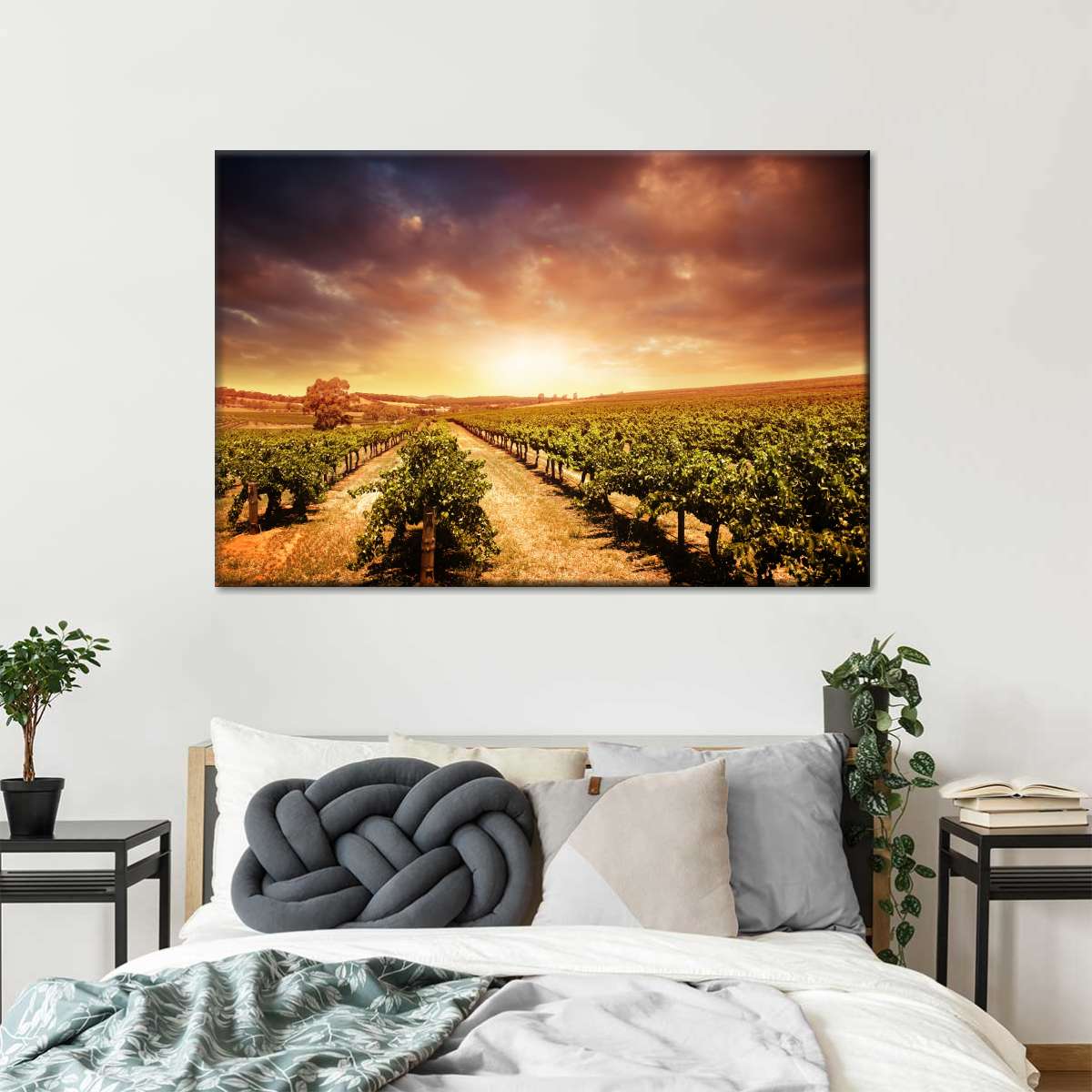 Vineyards Wall Art