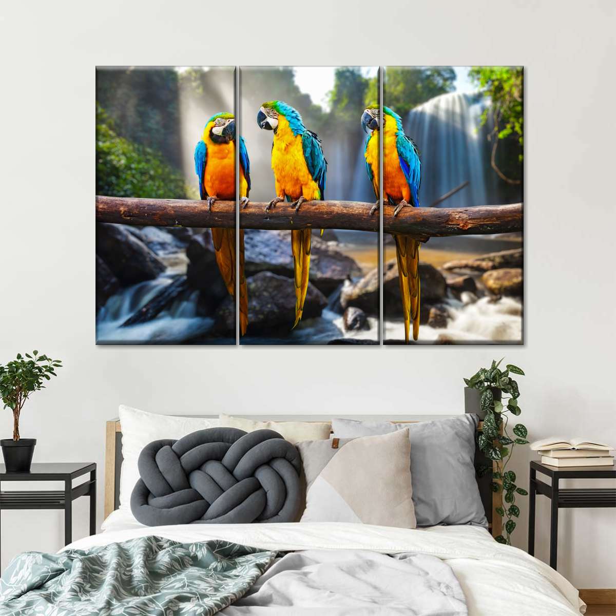 Macaw Friends Wall Art