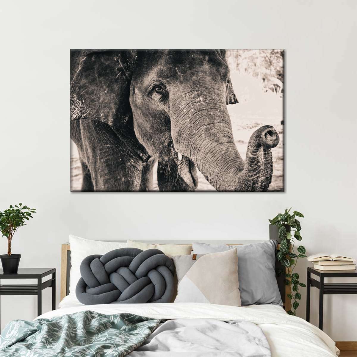 Elephant Up Close Wall Art