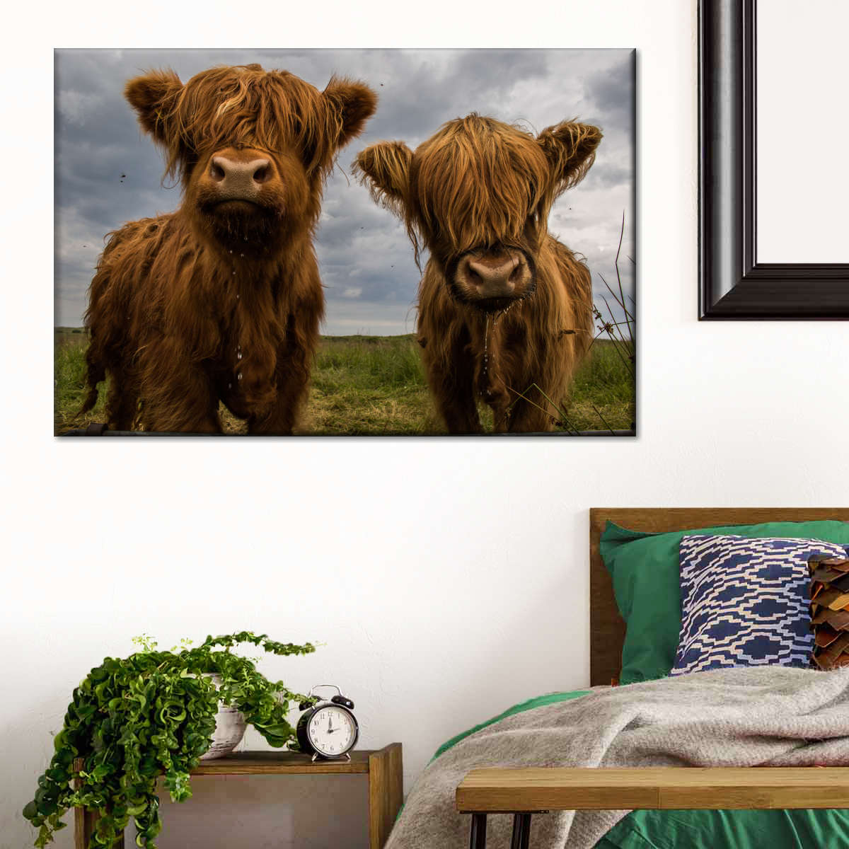 Baby Highland Cows Wall Art