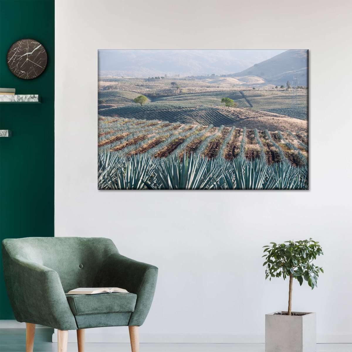 Tequila Jalisco Agave Field Wall Art