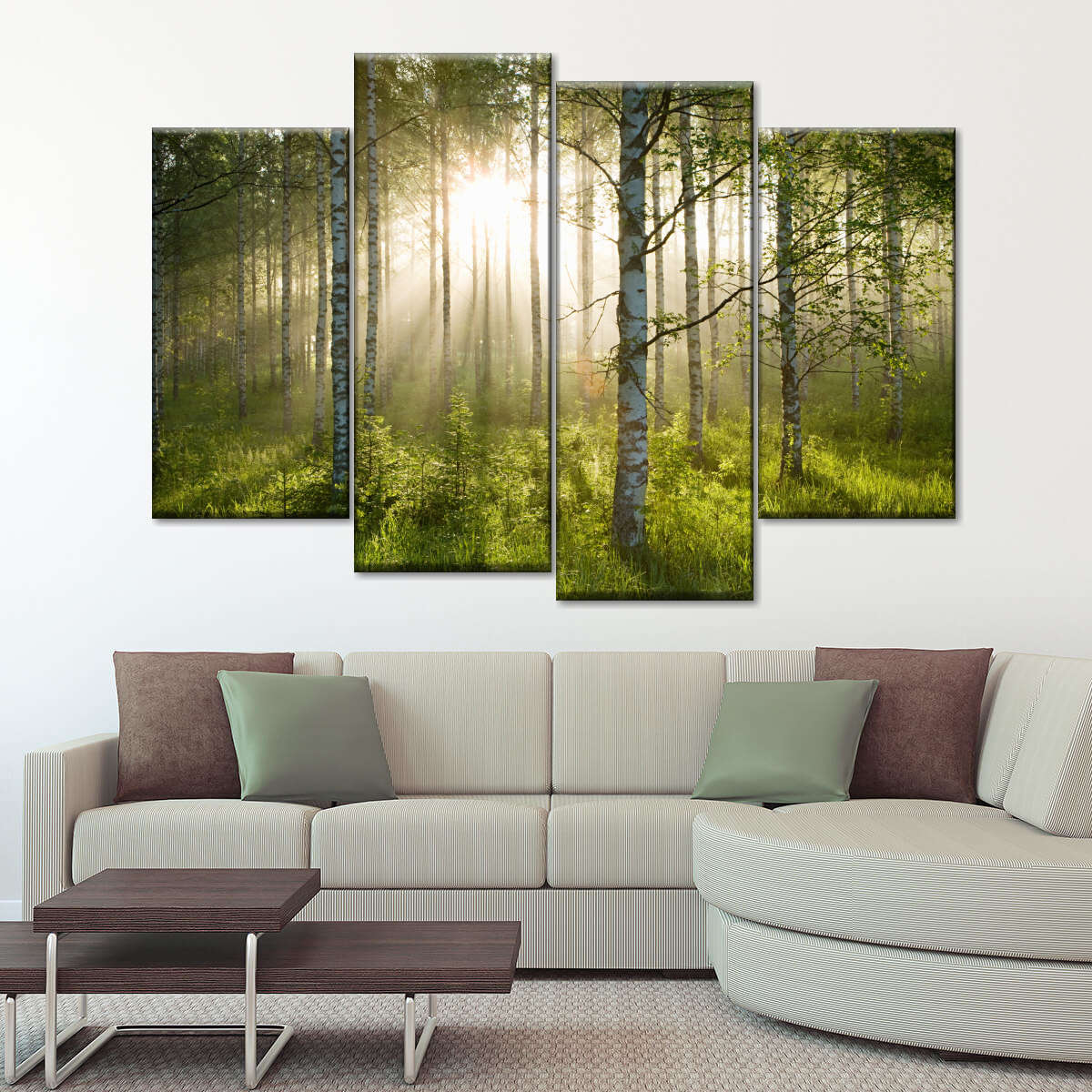 Birch Forest Sunlight Wall Art