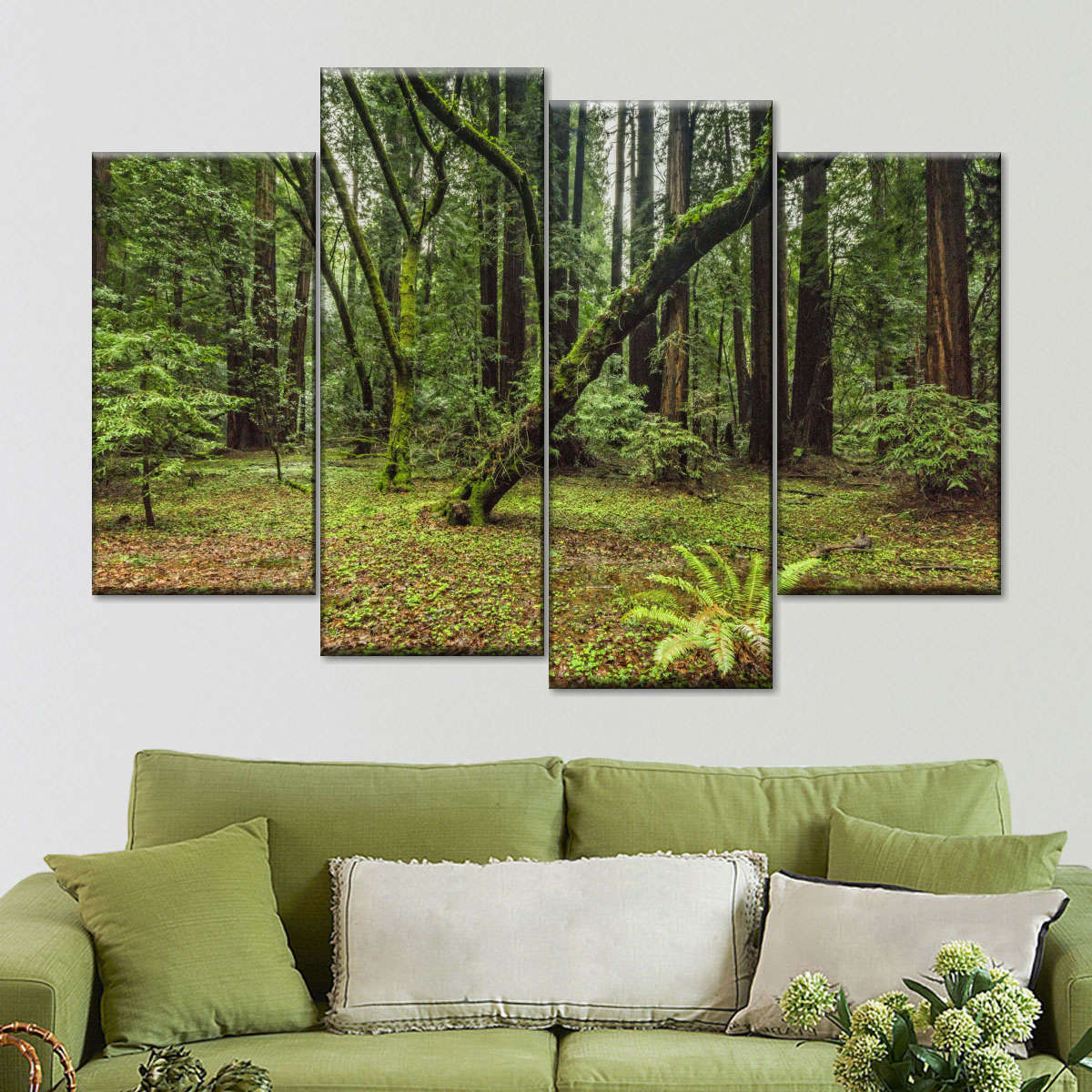 Muir Woods Forest Wall Art