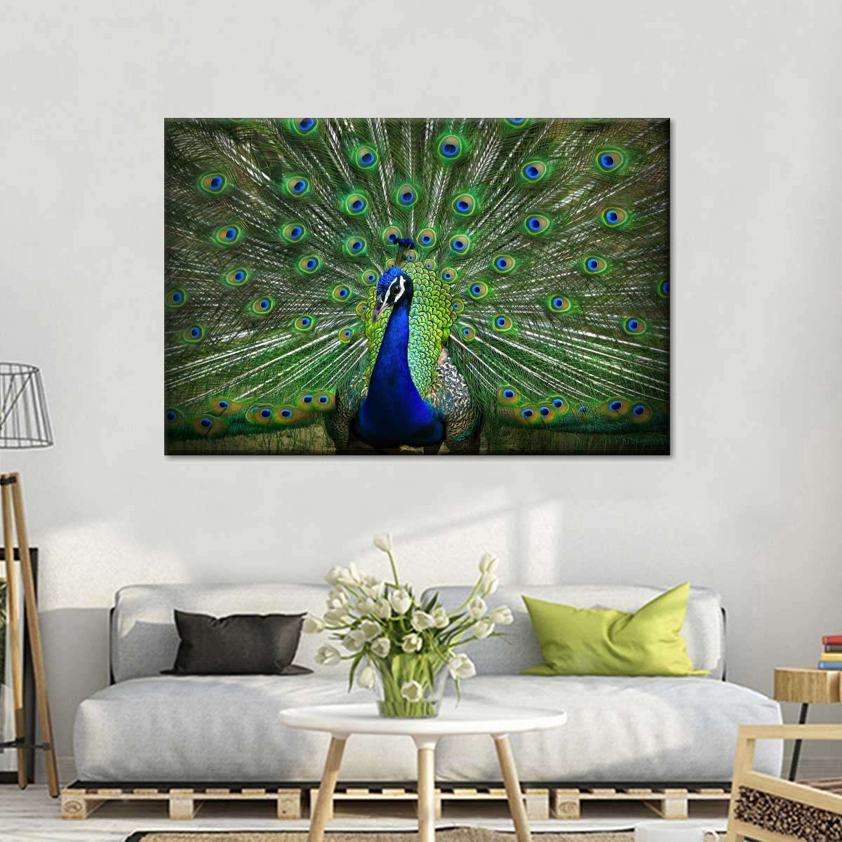 Peacock Feathers Wall Art