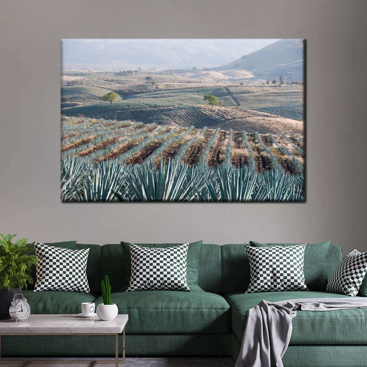 Tequila Jalisco Agave Field Wall Art