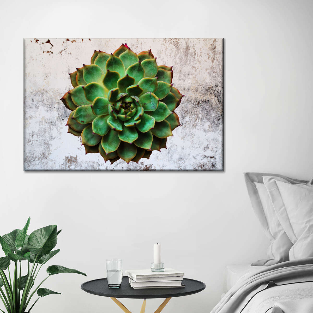 Grunge Succulent Wall Art