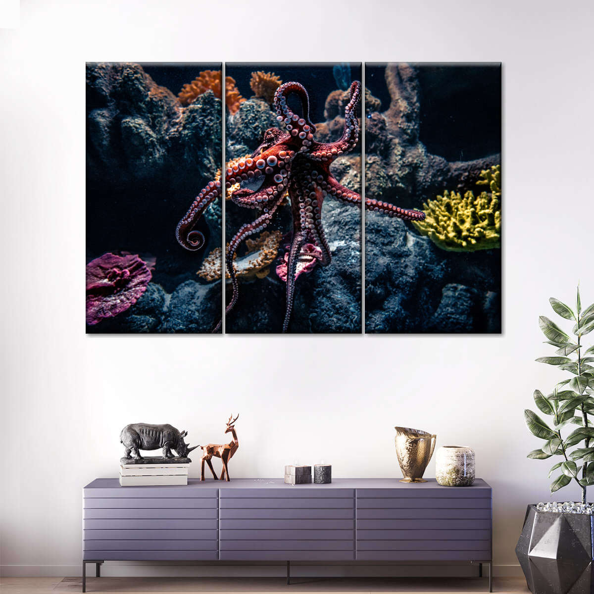 Octopus Habitat Wall Art