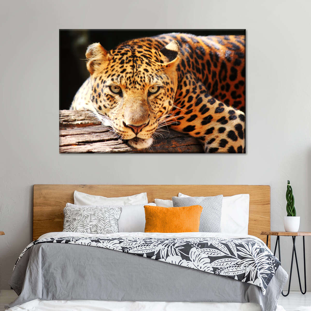 Leopard Gaze Wall Art