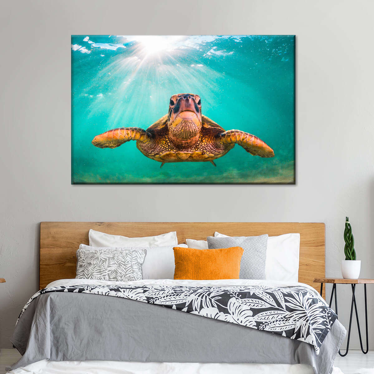 Maui Green Turtle Wall Art