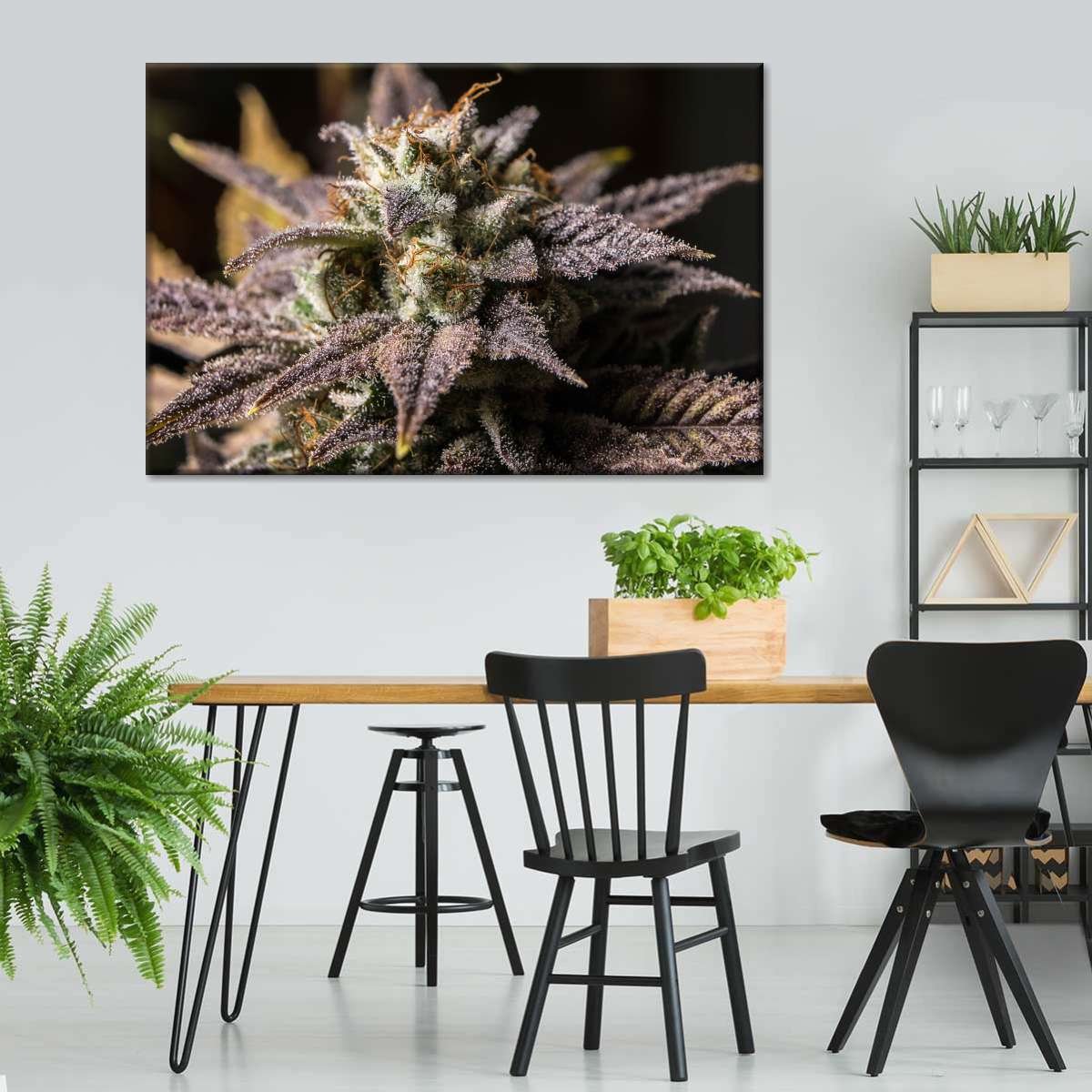 Marijuana In Winter Wall Art