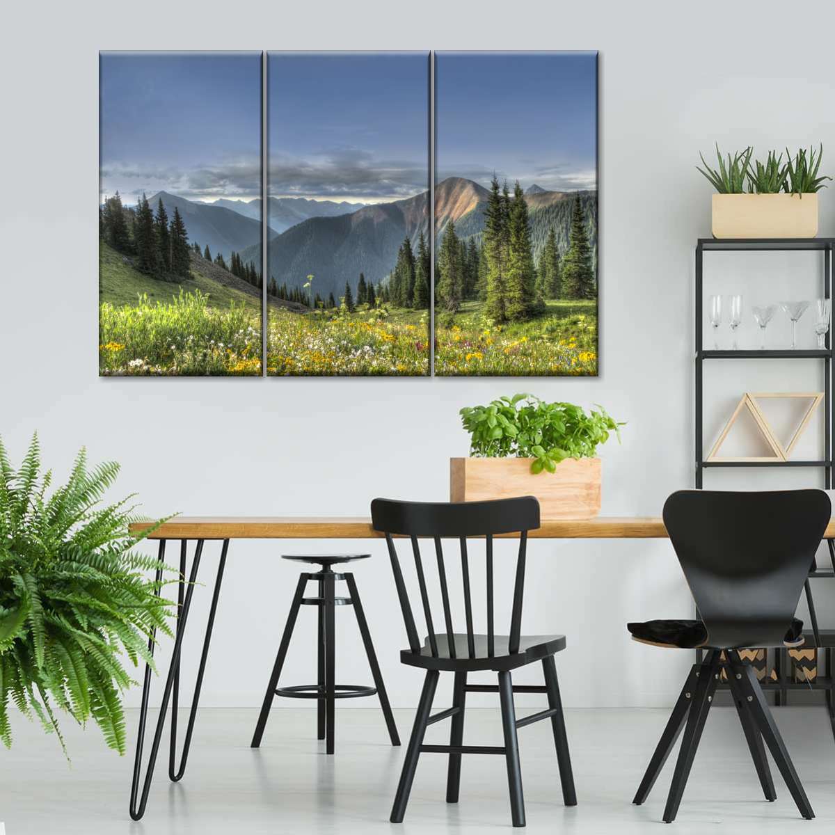 Rocky Mountain National Park Meadow Wall Art