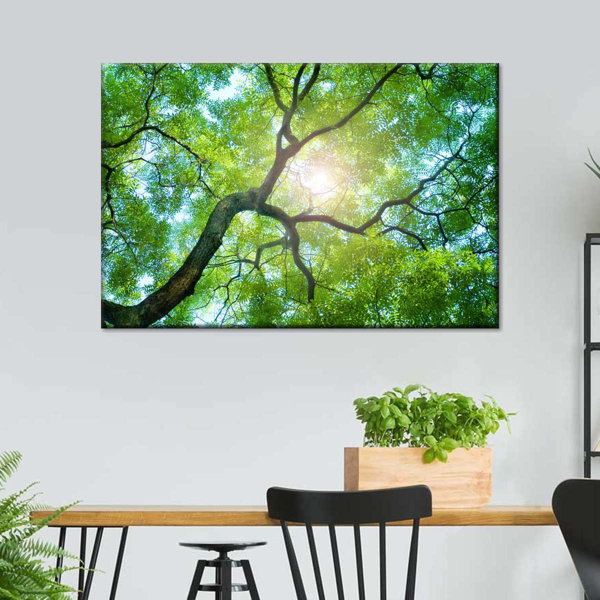 Tree Canopy Sunshine Wall Art