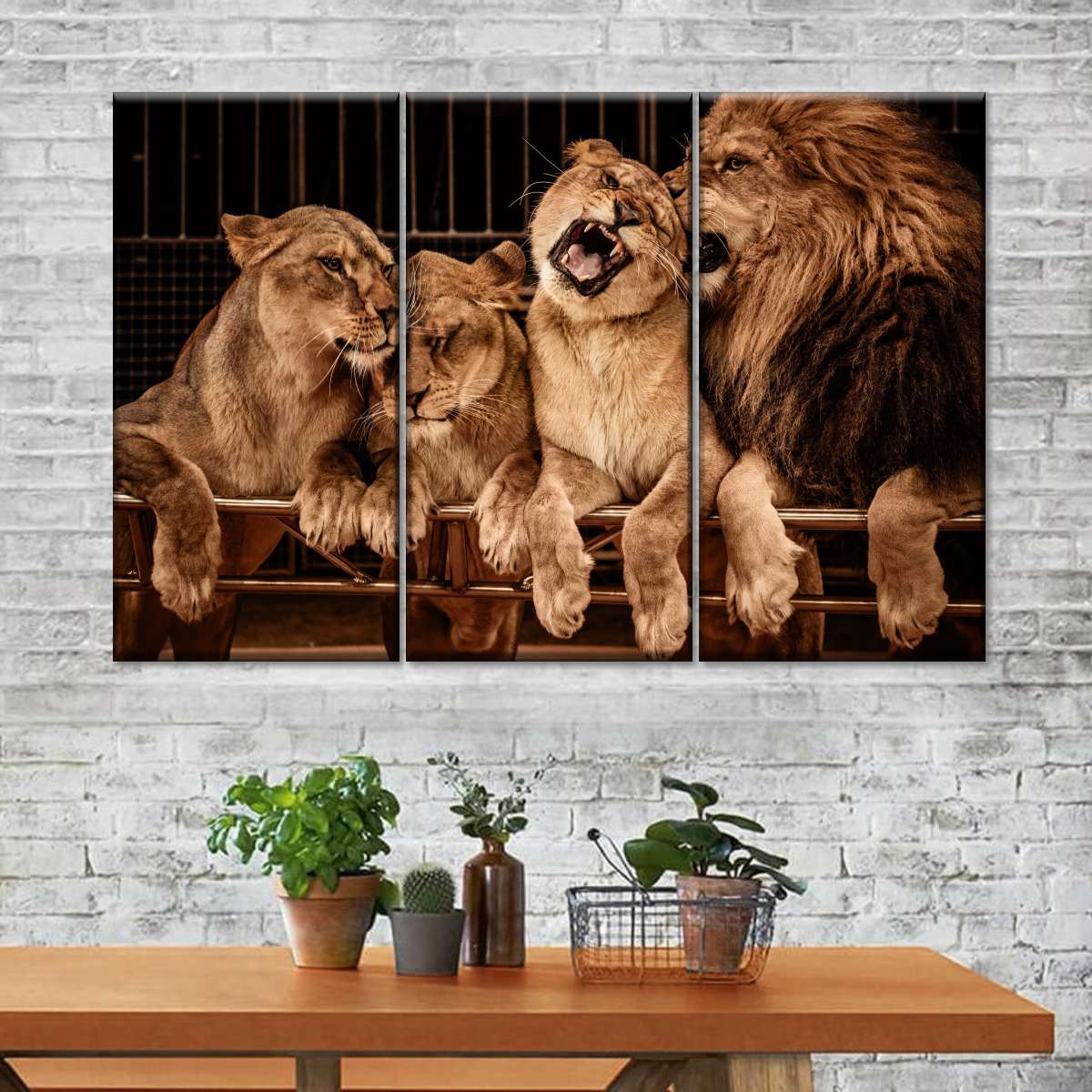 Pride Of Lions Wall Art