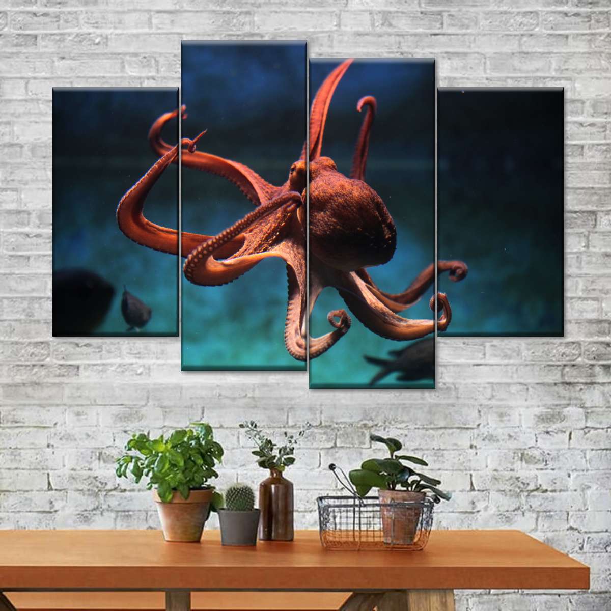 Octopus Vulgaris Wall Art