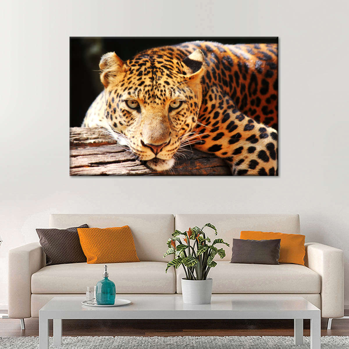 Leopard Gaze Wall Art