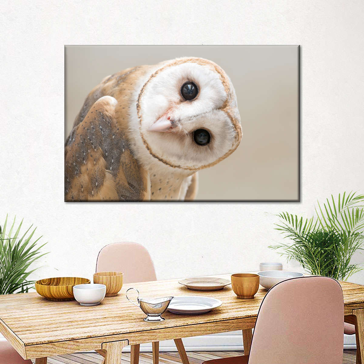 Barn Owl Gaze Wall Art