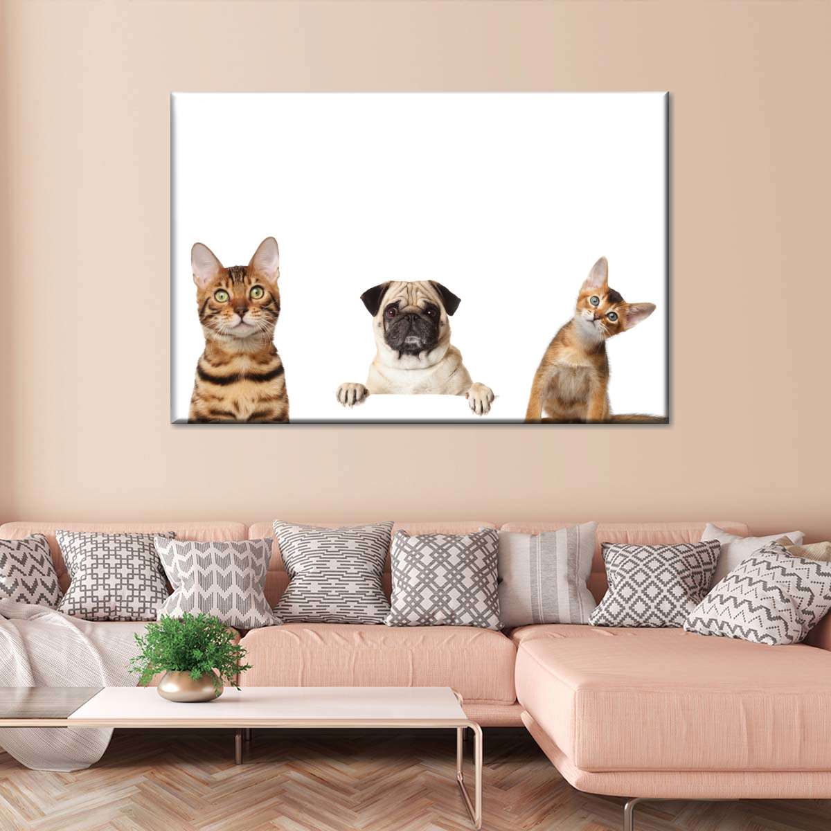 Pug And Cats Wall Art