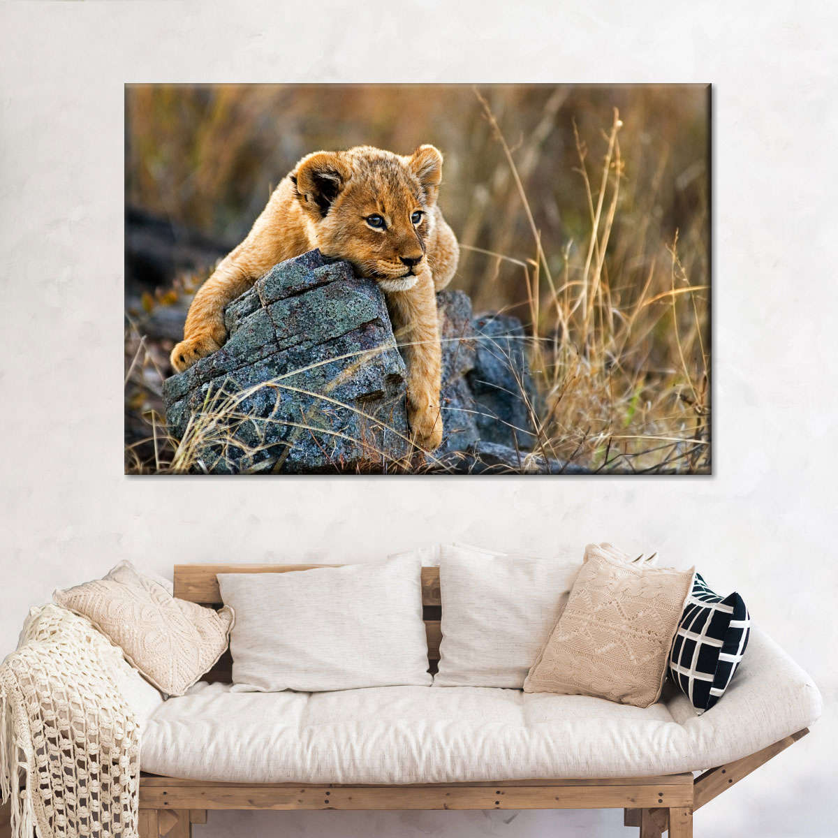 Safari Lion Cub Wall Art