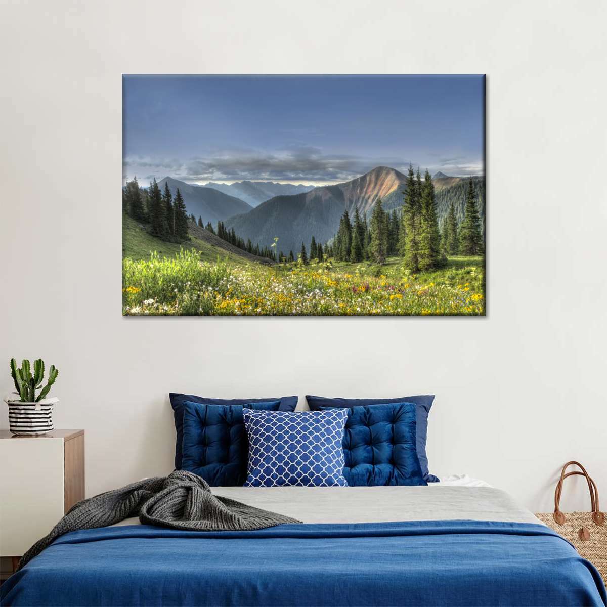 Rocky Mountain National Park Meadow Wall Art