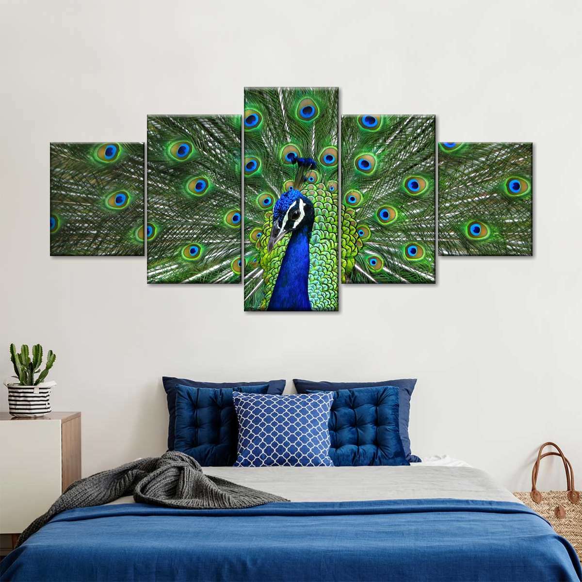 Peacock Feathers Wall Art