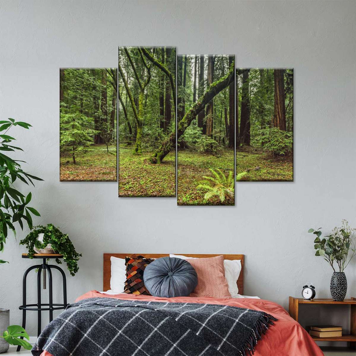 Muir Woods Forest Wall Art