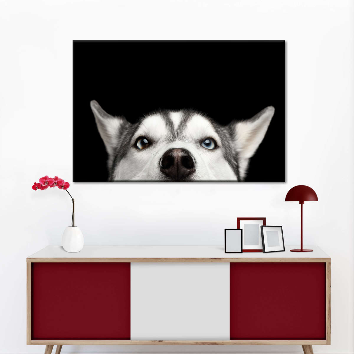 Peeking Siberian Husky Wall Art