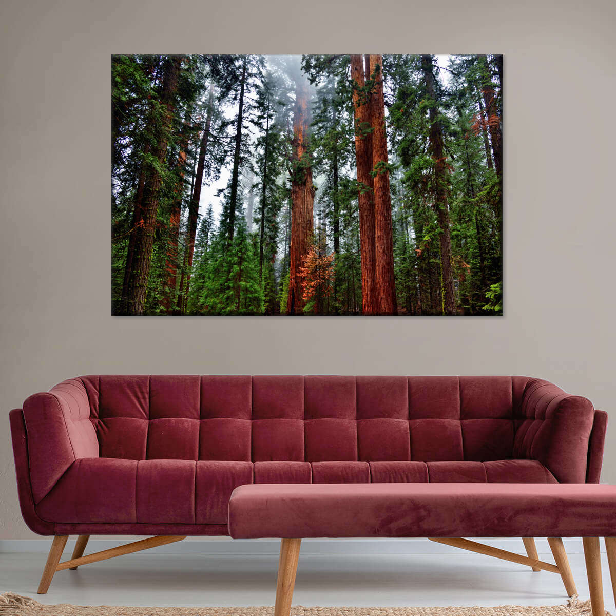 Vibrant Redwood Wall Art