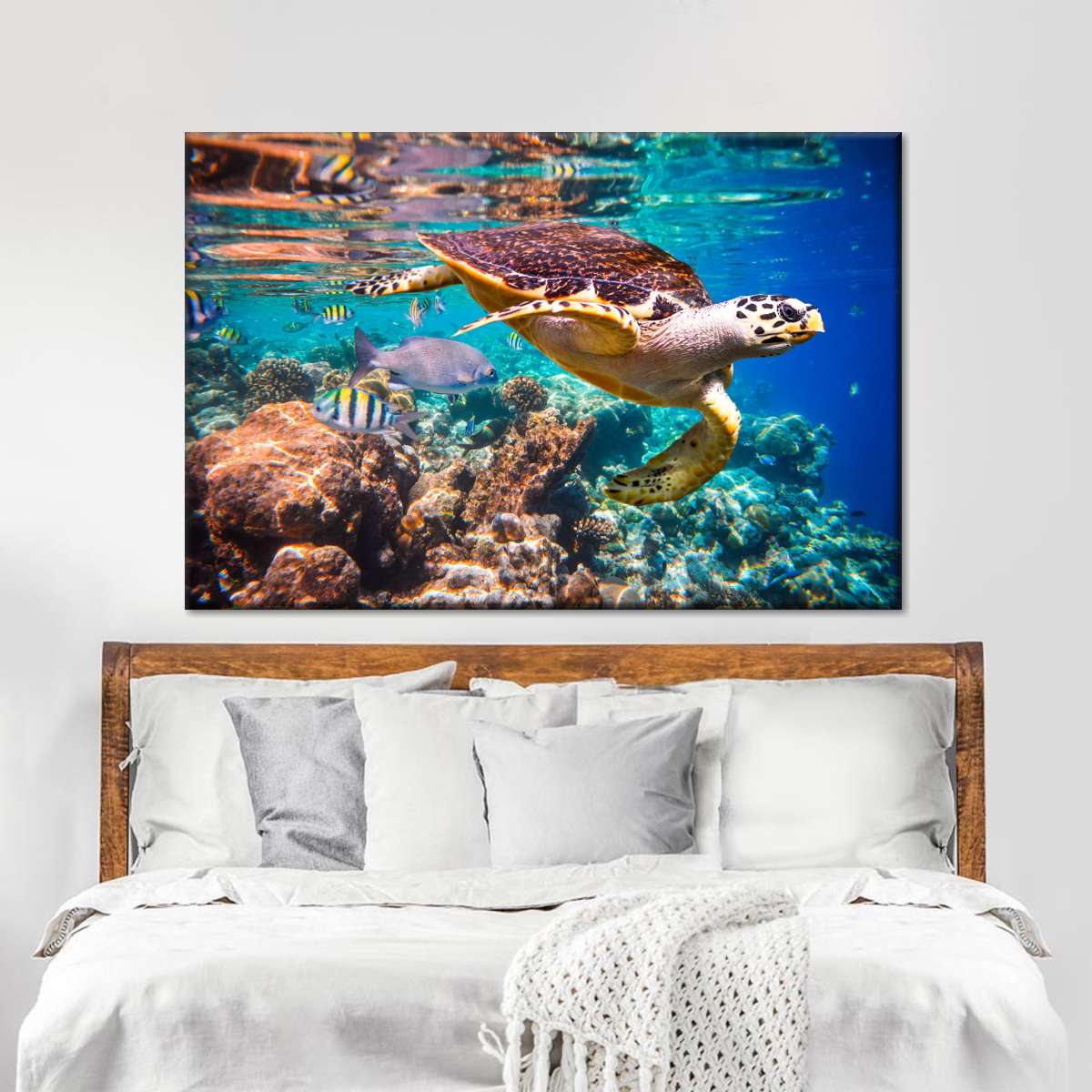 Vivid Sea Life Wall Art