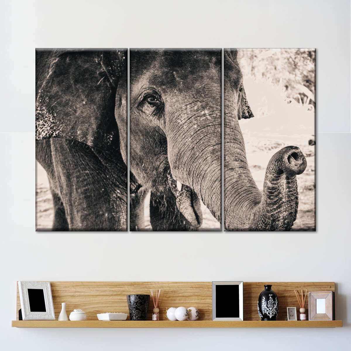 Elephant Up Close Wall Art