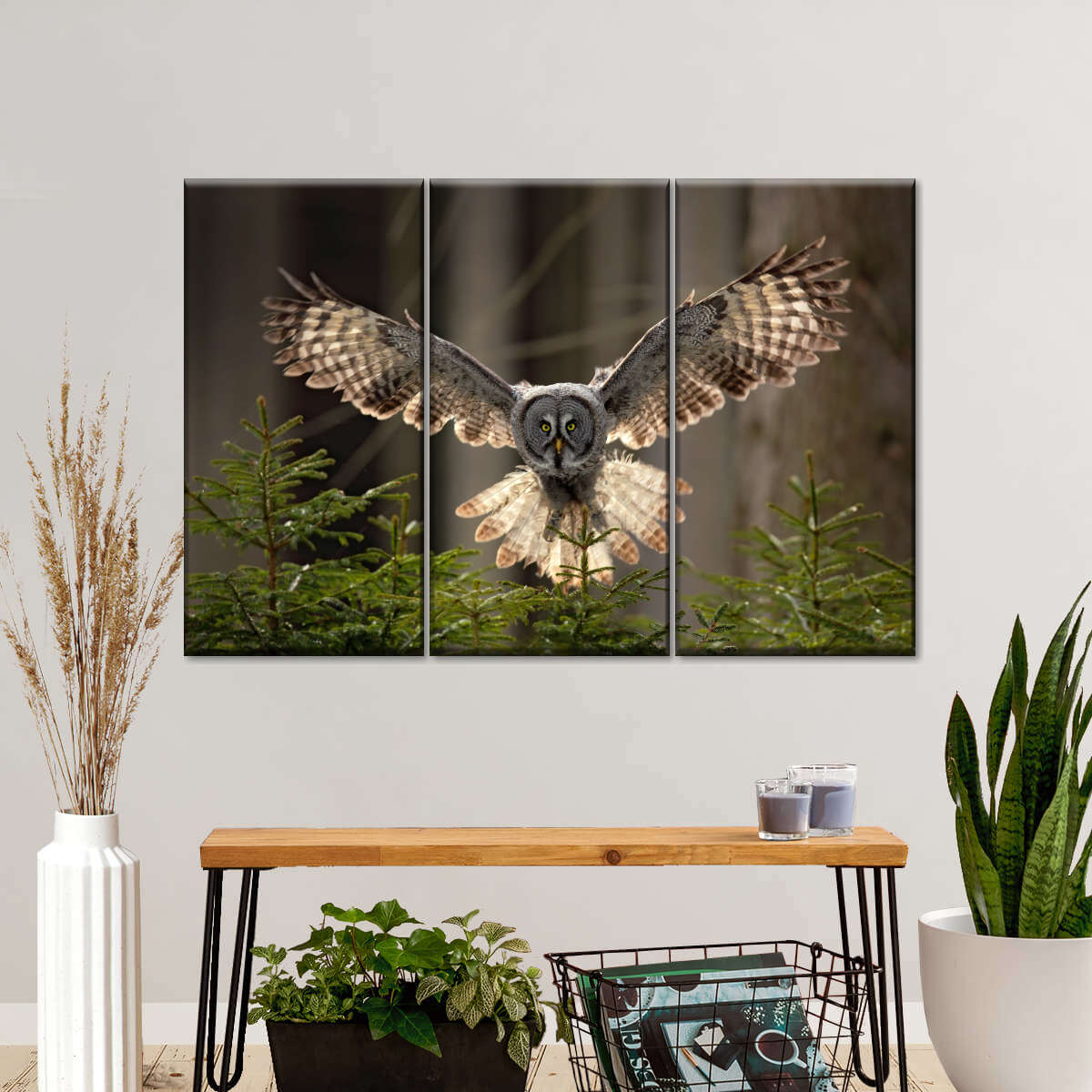 Flying Owl Wall Art