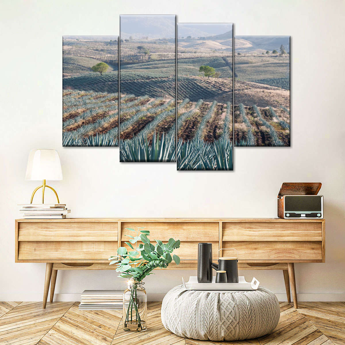 Tequila Jalisco Agave Field Wall Art