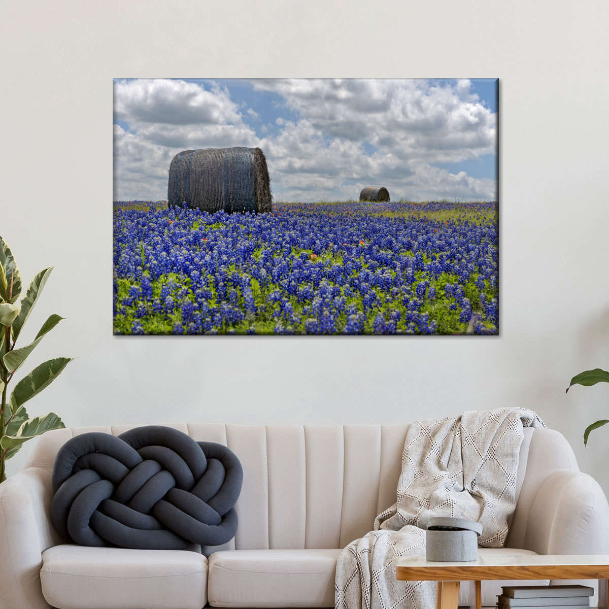 Texas Bluebonnets Wall Art