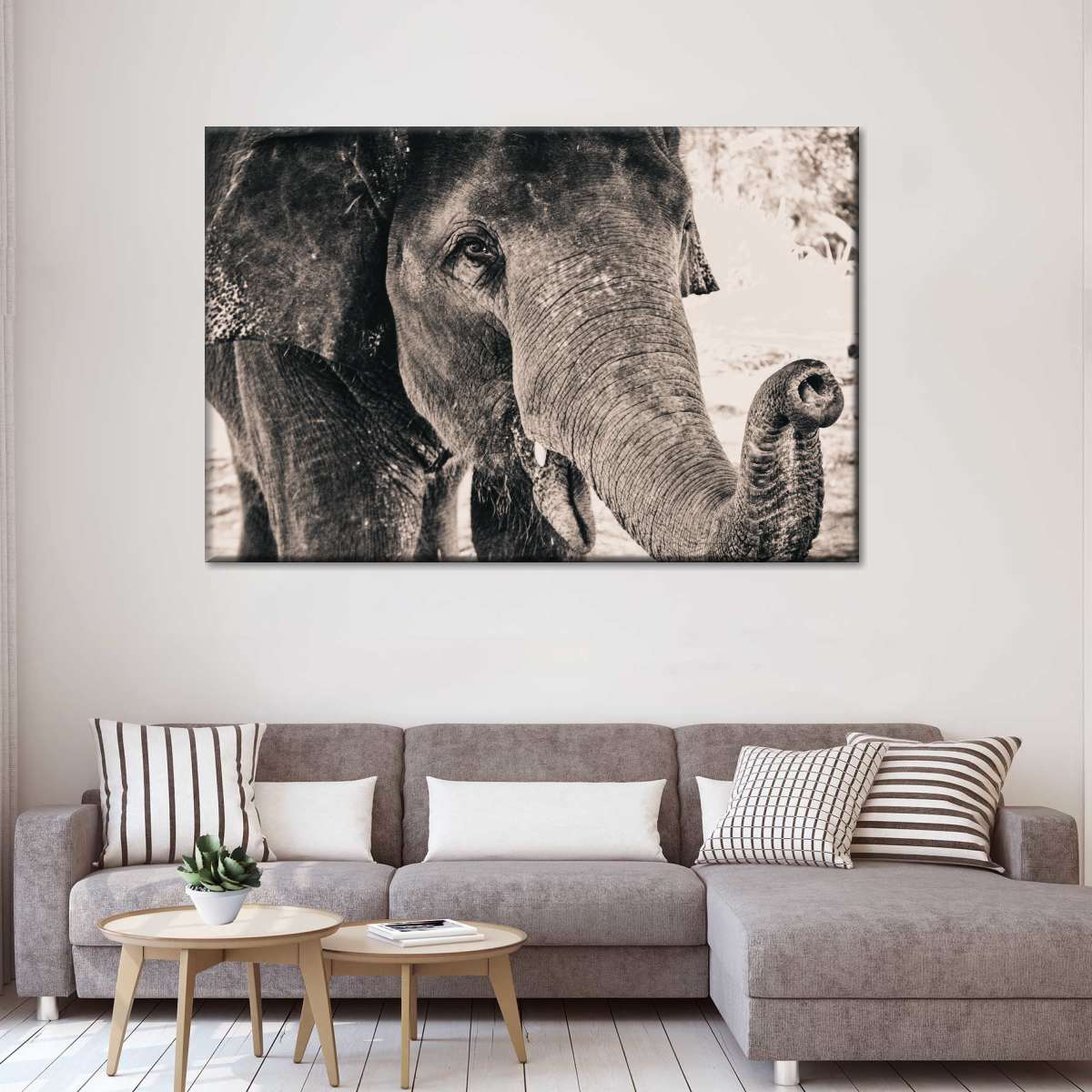 Elephant Up Close Wall Art