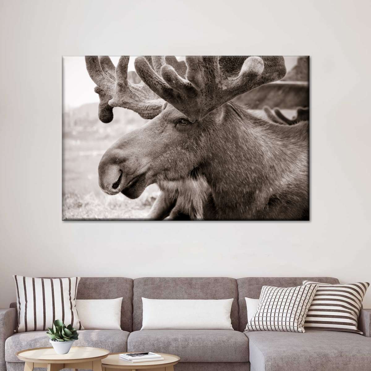 Moose Head Wall Art