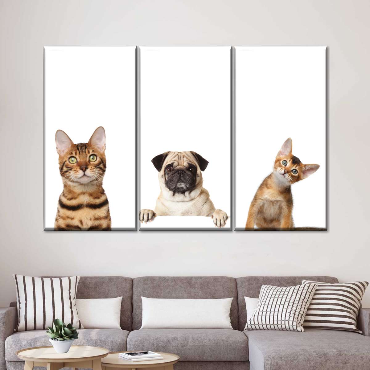 Pug And Cats Wall Art