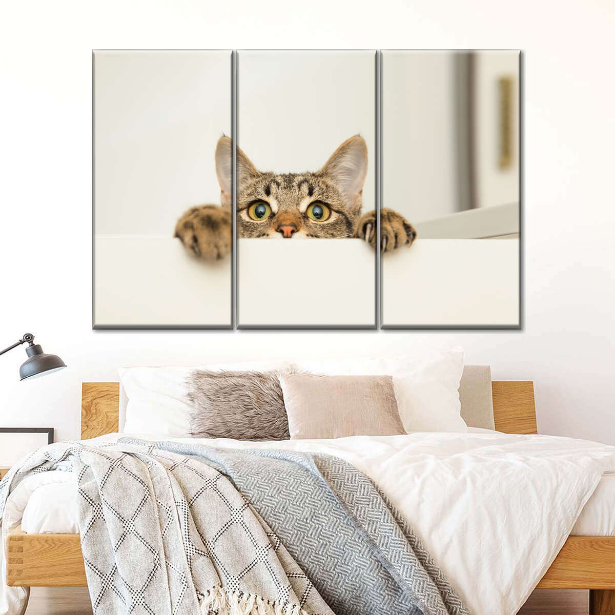 Peeking Young Cat Wall Art