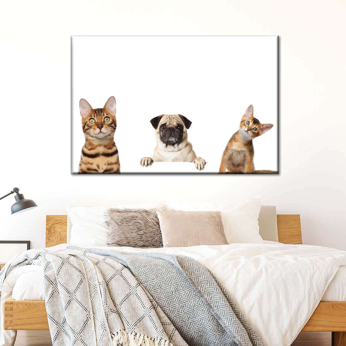 Pug And Cats Wall Art