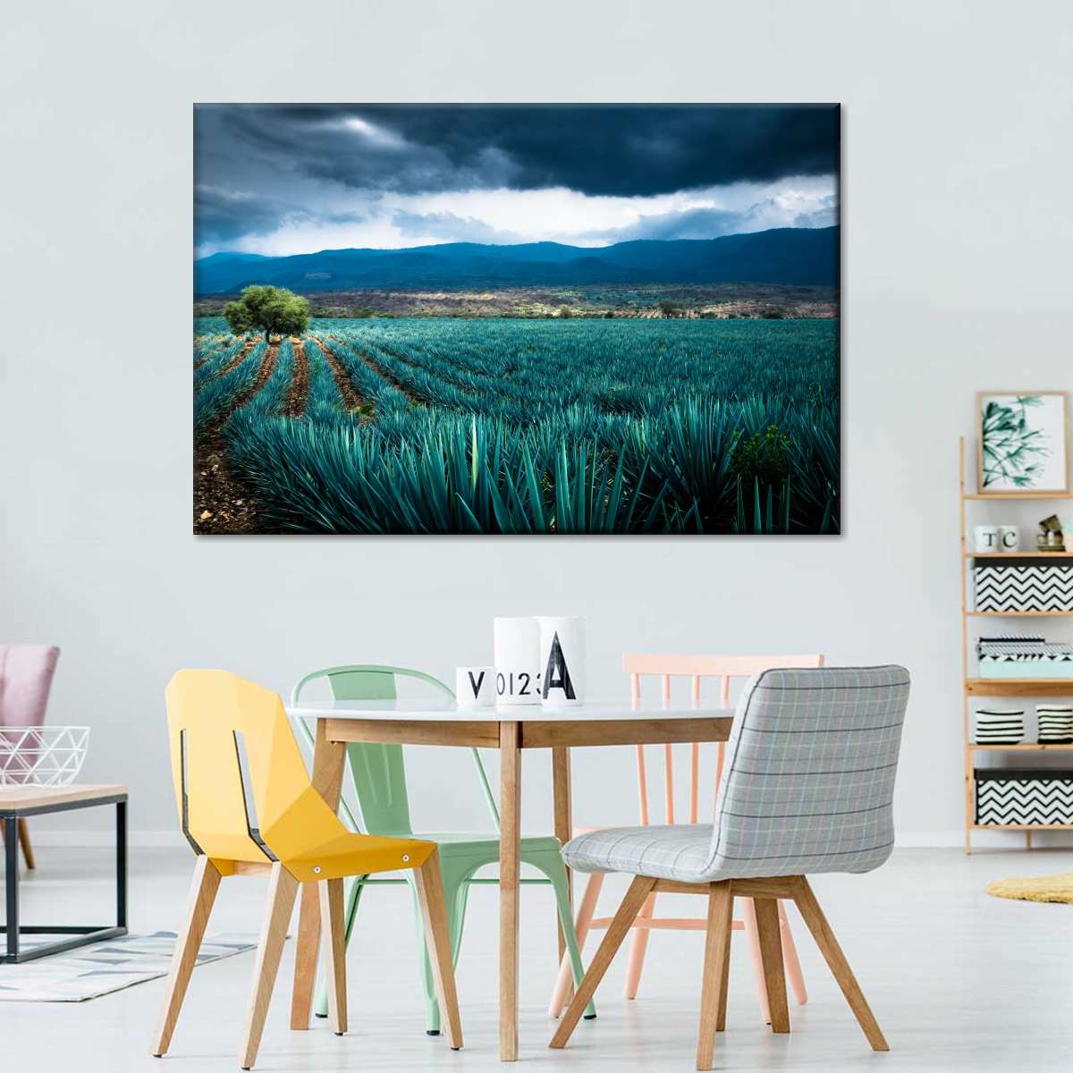 Agave Plantation At Morning Wall Art