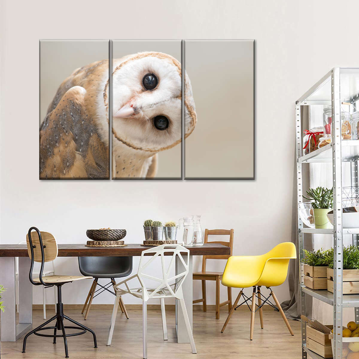 Barn Owl Gaze Wall Art