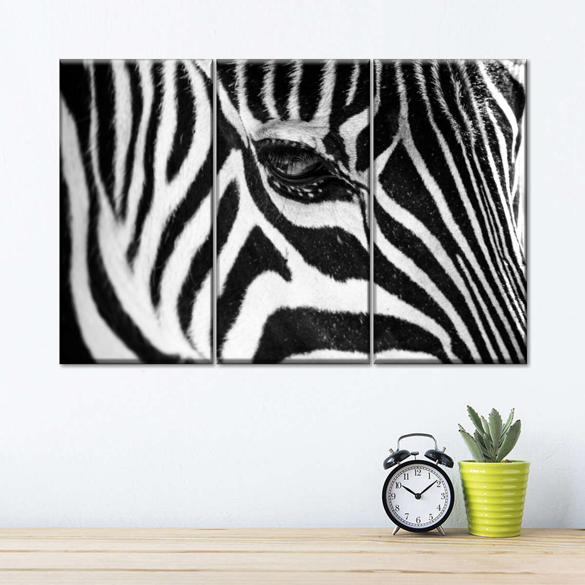 Zebra Eye Wall Art